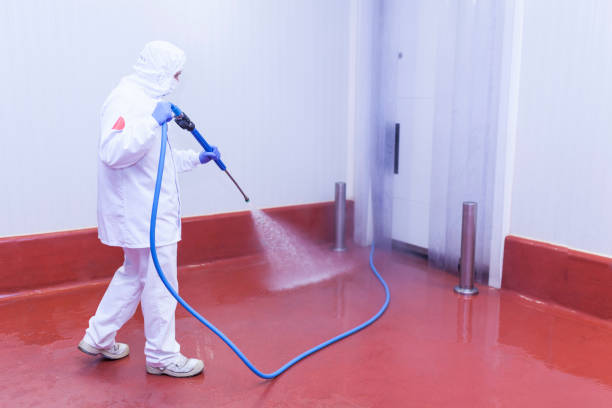 Professional Pressure Washing Services in Perkasie, PA